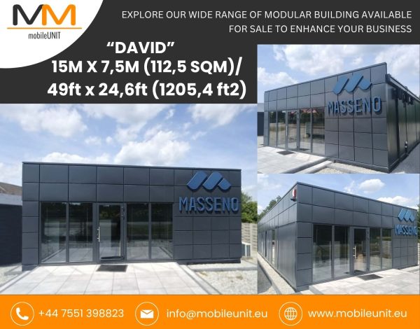 DAVID